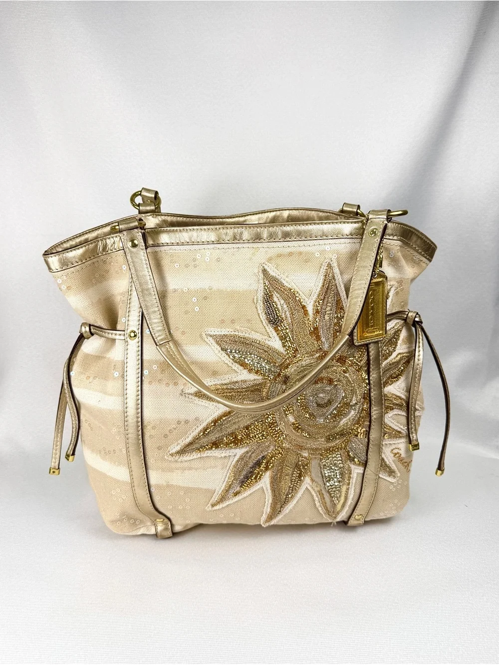 Coach Audrey Sun Limited Edition Shoulder Bag (19577)